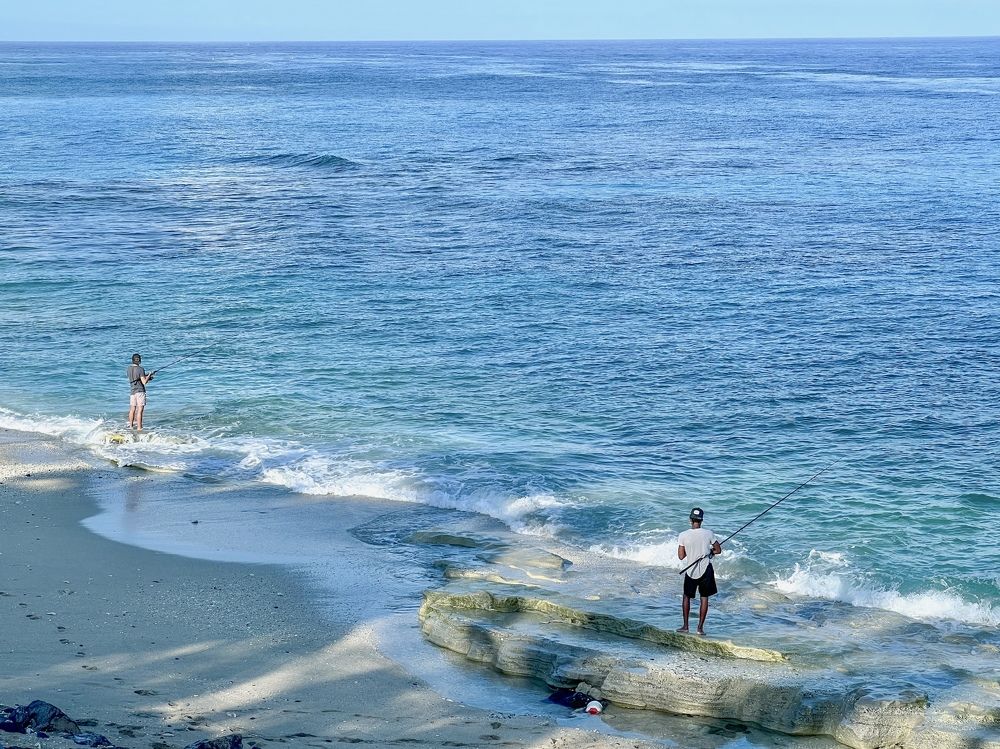 Photograph by Christine ECHEVET-ADAM de VILLIERS