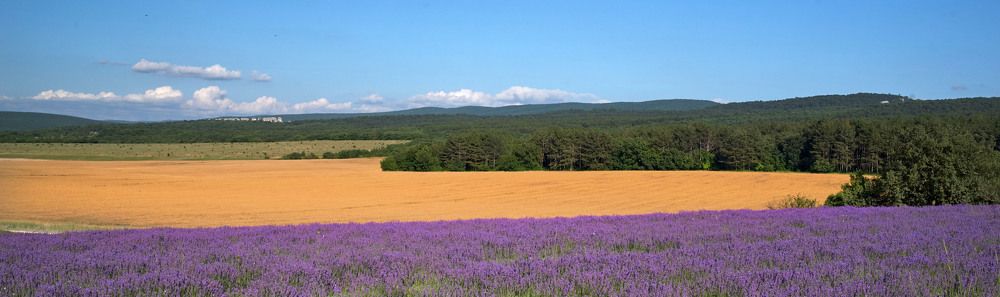 Photograph by Василий Батанов