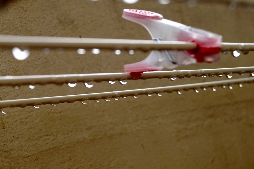 Photograph by Luisa Martina Hernández