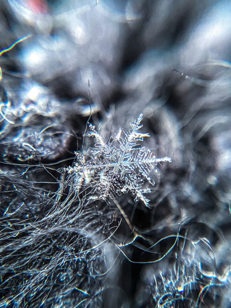 Photograph by Юлия Шустикова