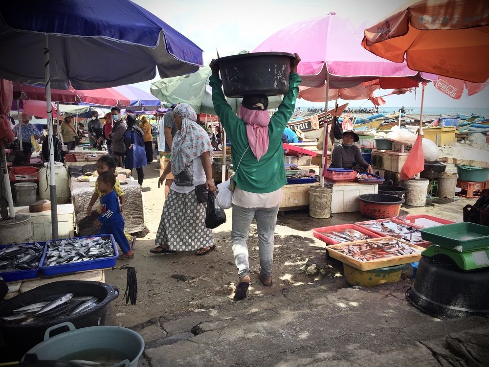 Photograph by Matthew One