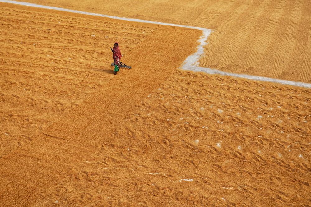 Photograph by DIBAKAR ROY