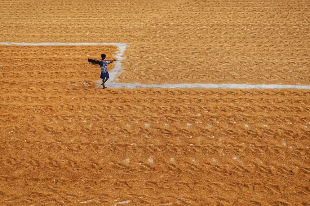 Photograph by DIBAKAR ROY