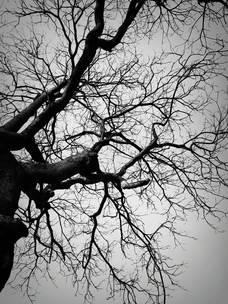 Photograph by Akshaya Dey