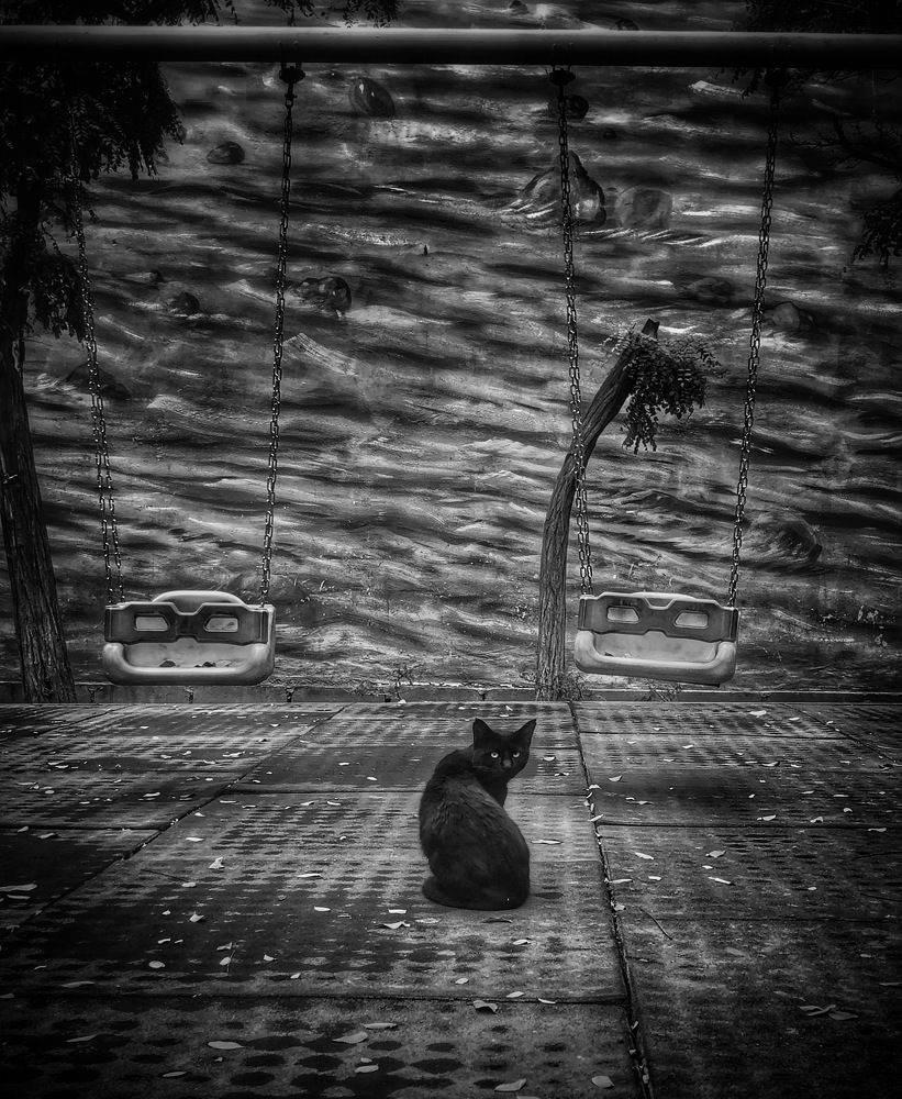 Photograph by Tannaz Khoshnood