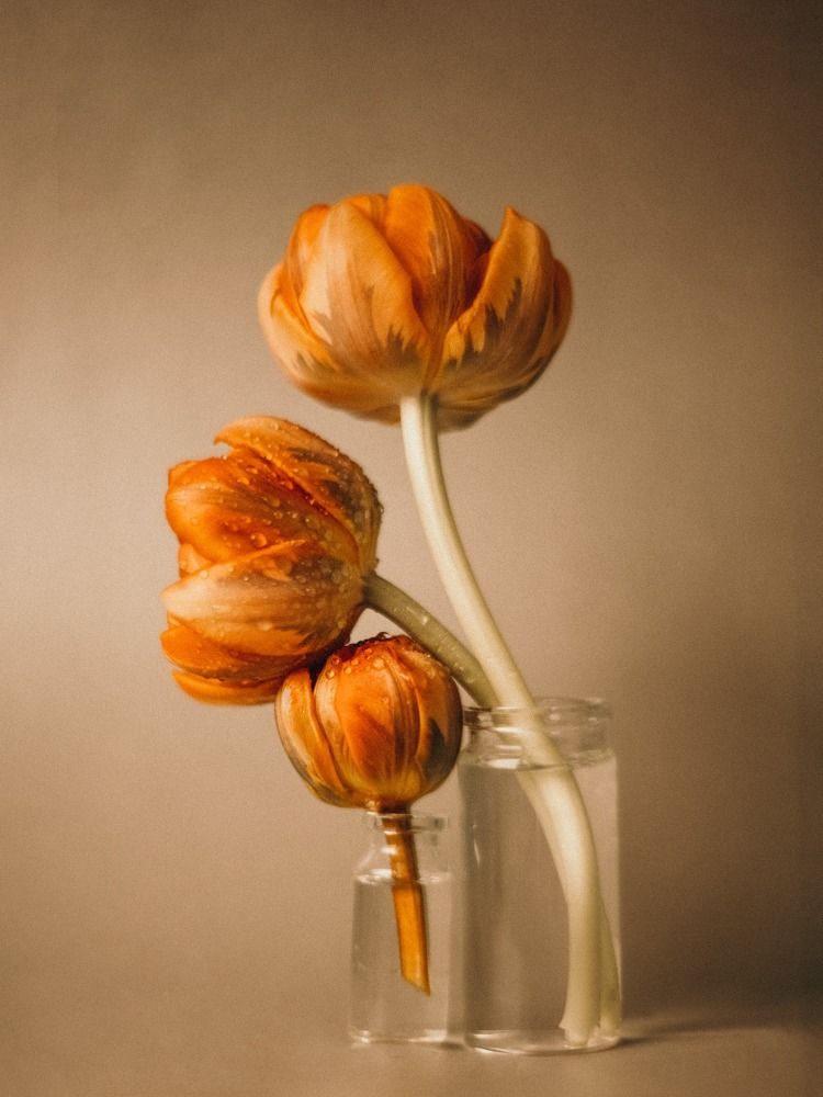 Photograph by Ксения Лаевская