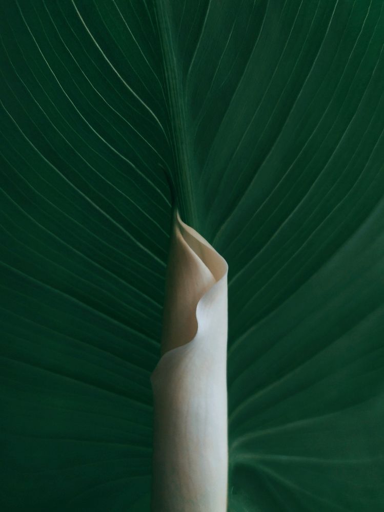 Точно по уентн