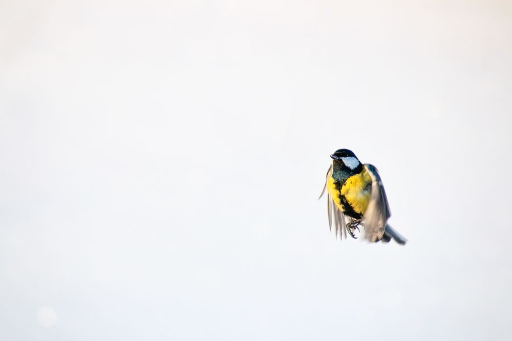 Photograph by Григорьев Денис