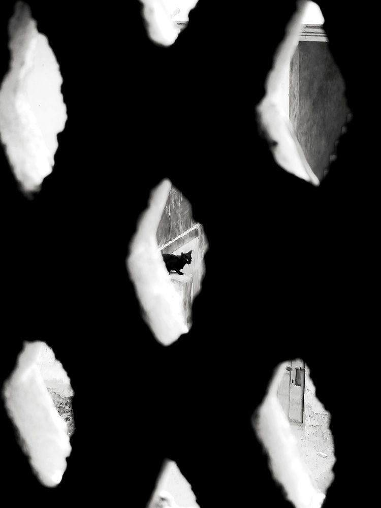 Photograph by Pushprajsinh Zala