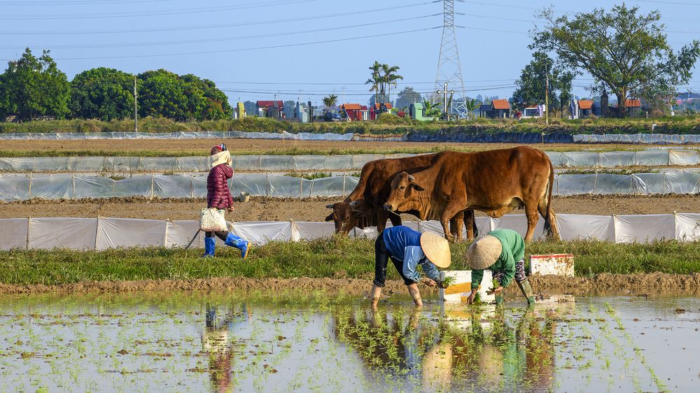 Photograph by Ngọc Vân (Helena Vân) Nguyễn