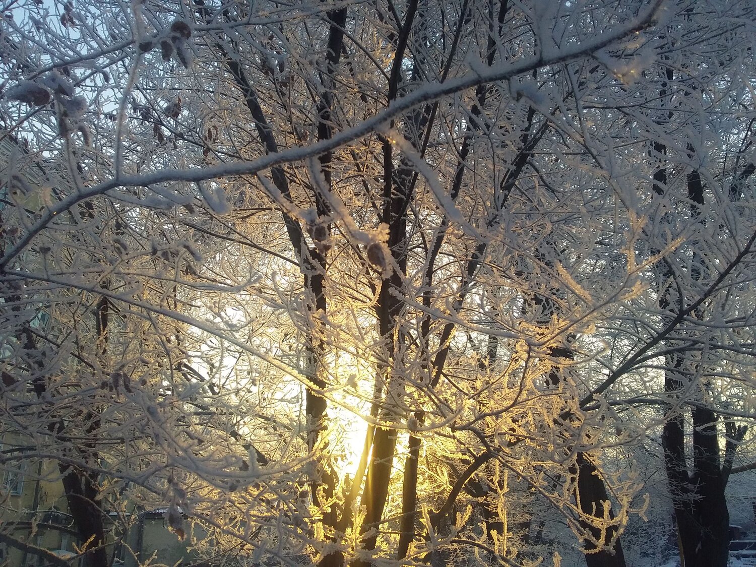 Photo #7426541