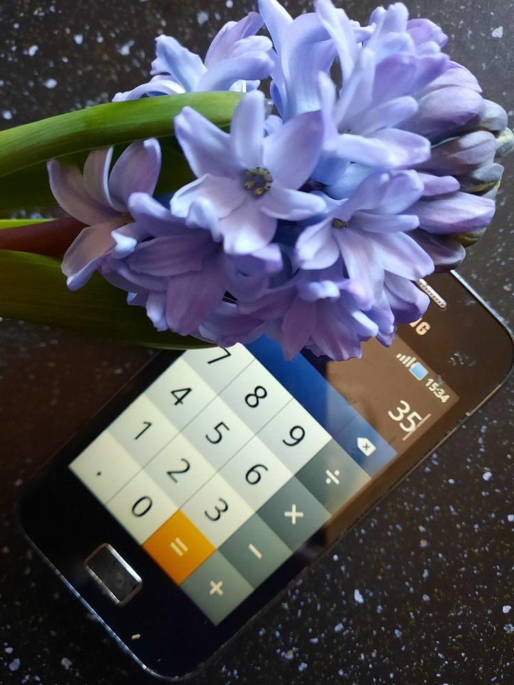 Photograph by Elena Khalizova