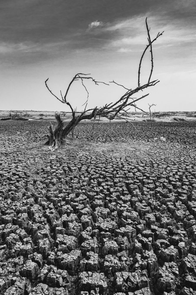 Фотография автора Sajeev Krishnan