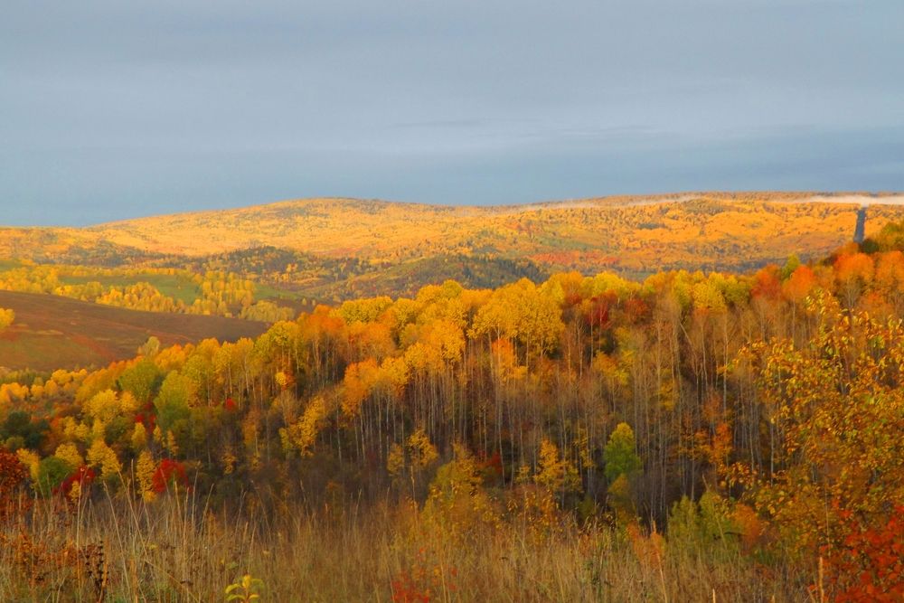 Photograph by Наталья БАЛАБАЕВА