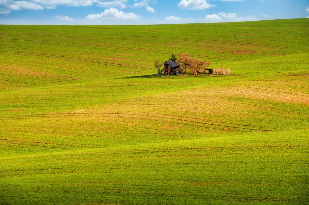 Photograph by Алексей Вымятнин