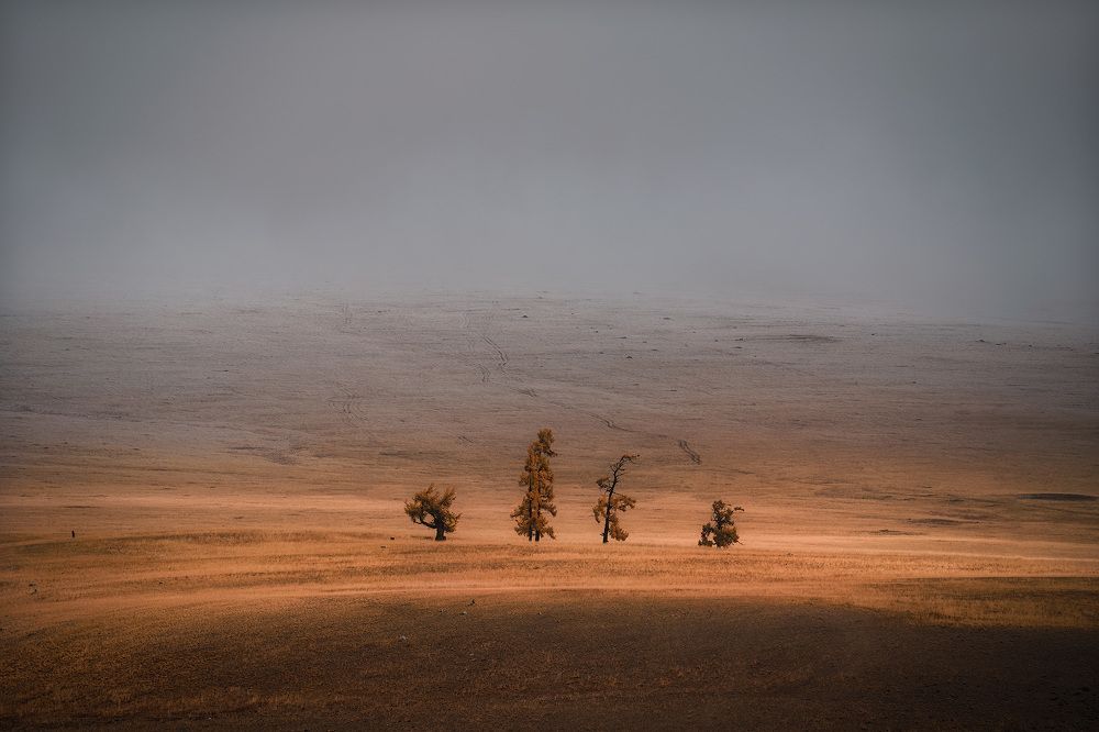 Photograph by Алексей Вымятнин