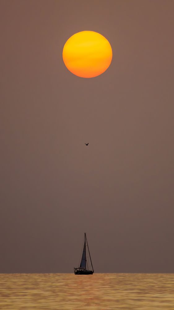 Photograph by Вячеслав Белов