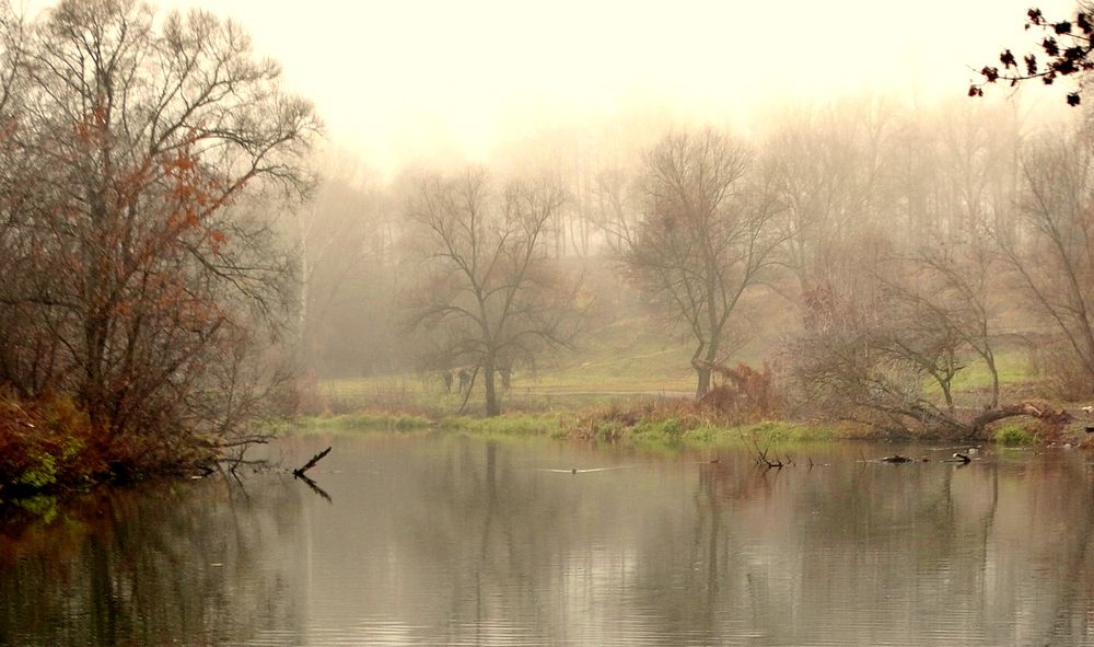 Туманная осень на реке Орлик