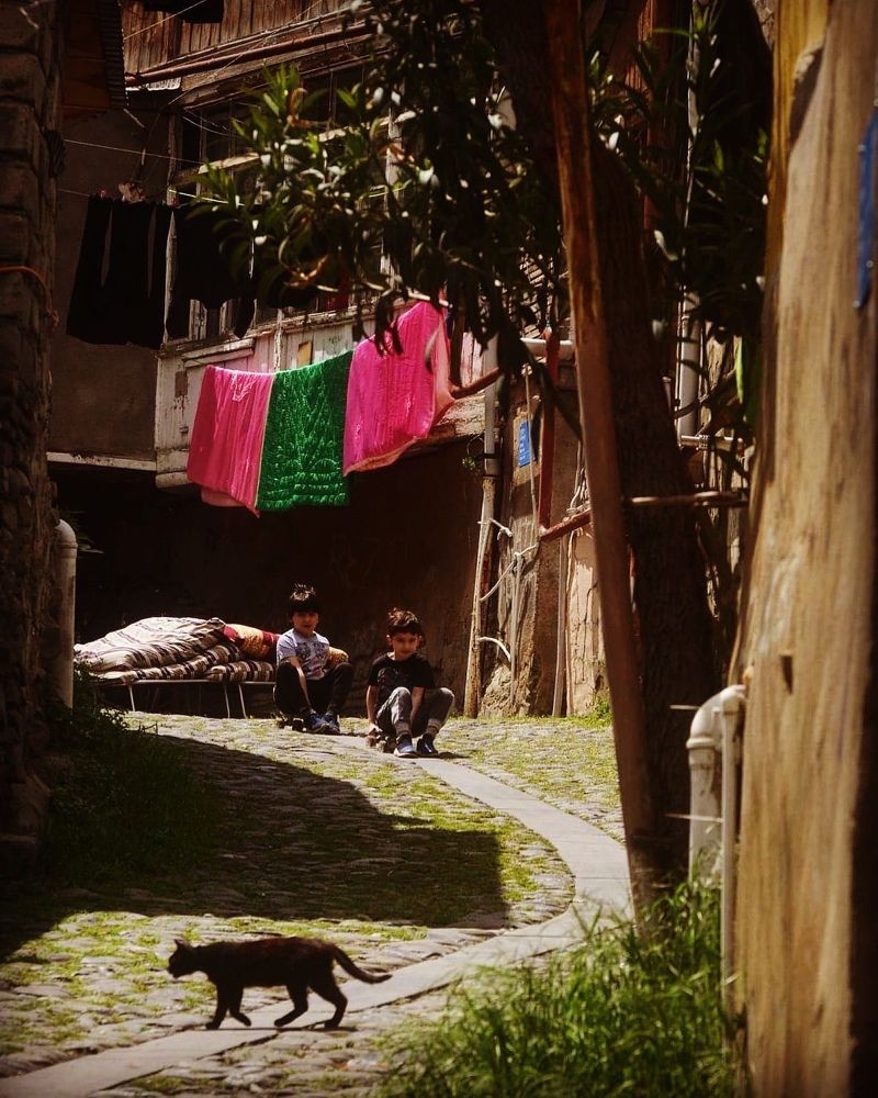 Black Cat, White Cat