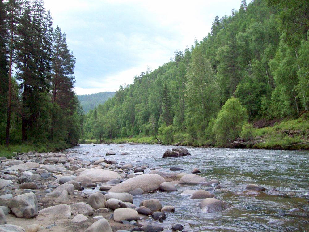 Photograph by Мигун Александра