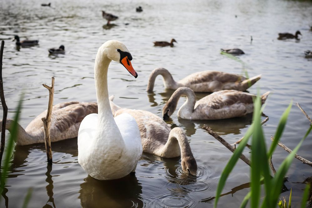 Фотография автора Лукашенко Ольга