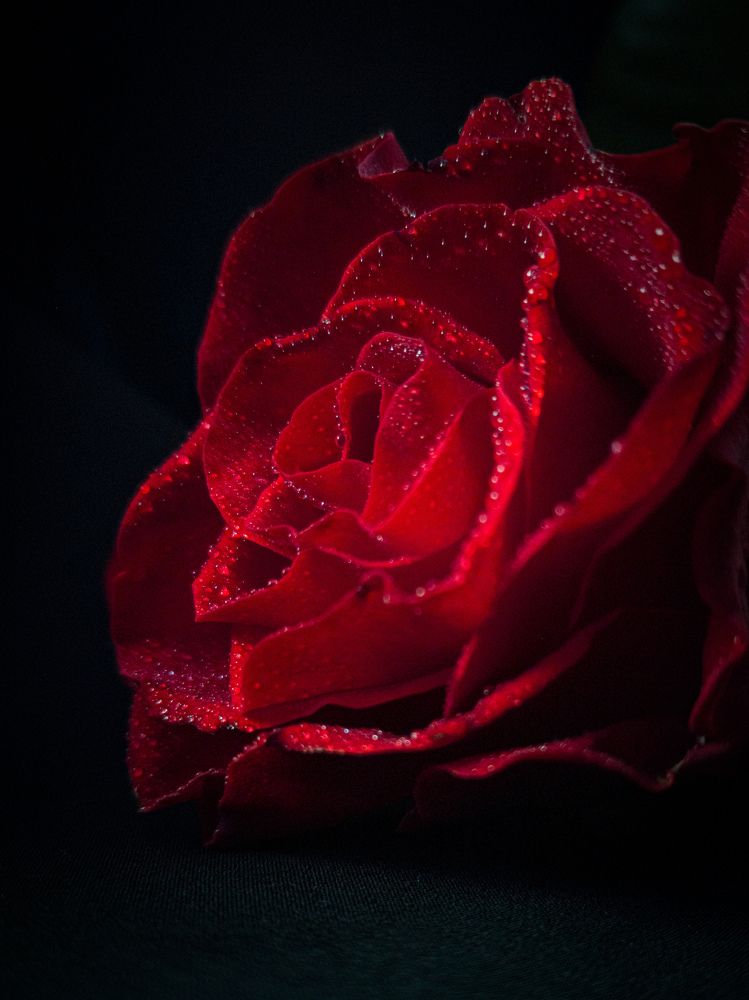 Photograph by Алексей Крукович