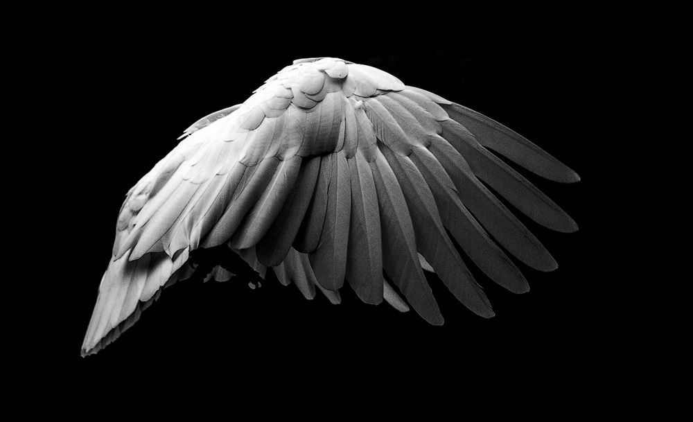 Photograph by Janis Straut