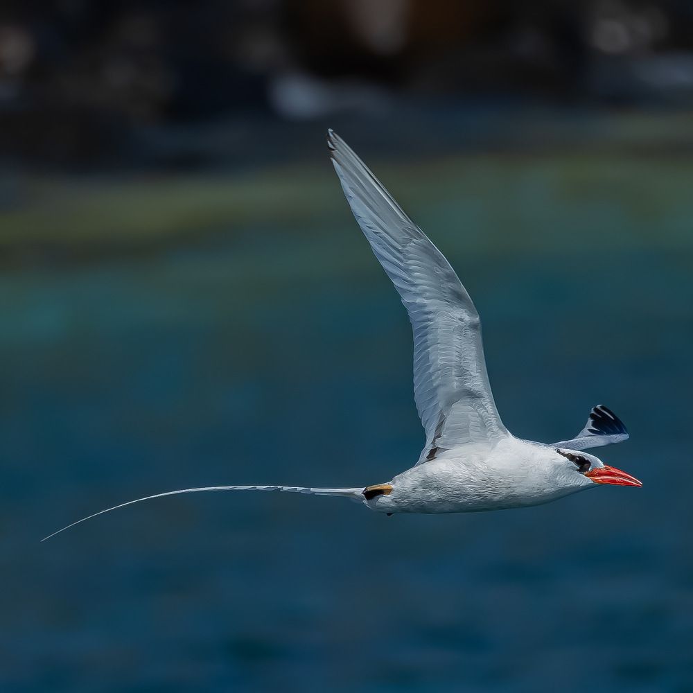 Photograph by Franz Schuler
