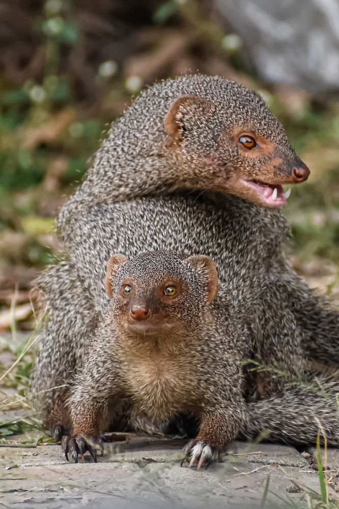 Photograph by Subrata Das