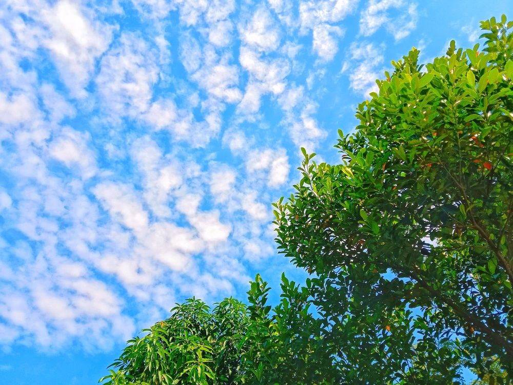 Photograph by Sumon Barman