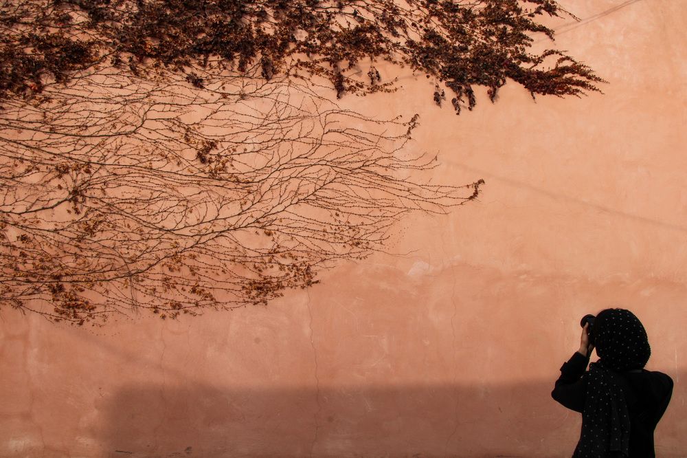 Photograph by safoura asghari