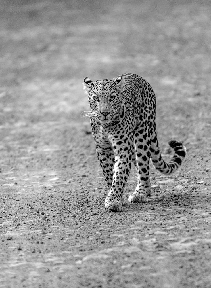 Photograph by Sanjaykumar Daramwar