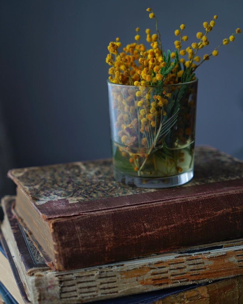 Photograph by Маргарита Булатова