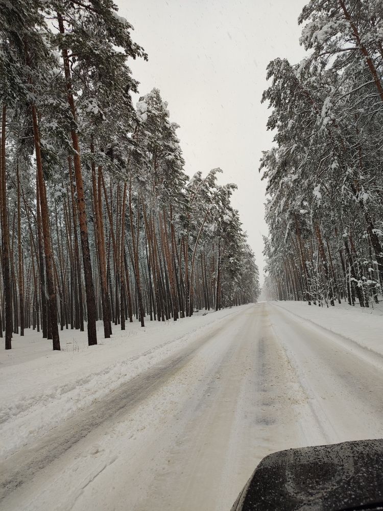 Photograph by Виктория