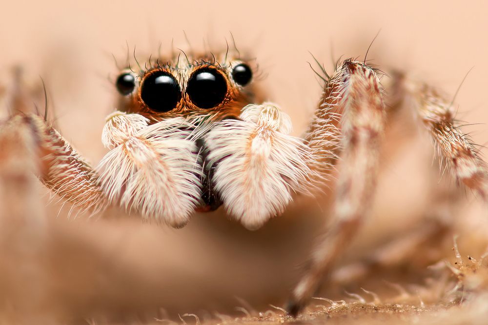 Photograph by Gonzalez Paul Andres