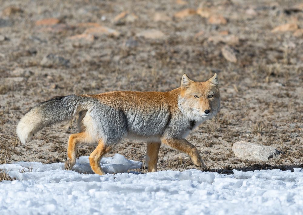 Photograph by Ranjith Kumar