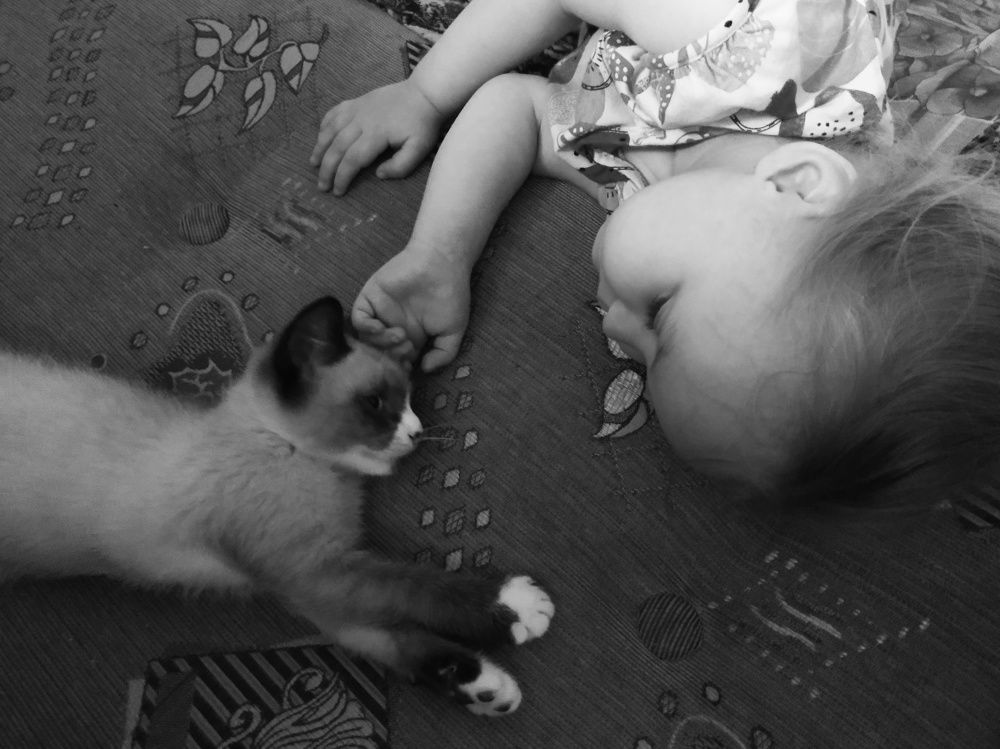 Photograph by Mila Vshivkova