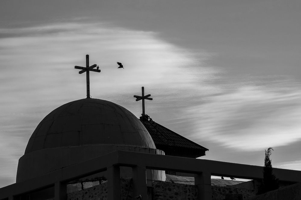 Фотография автора Majid Mohammed