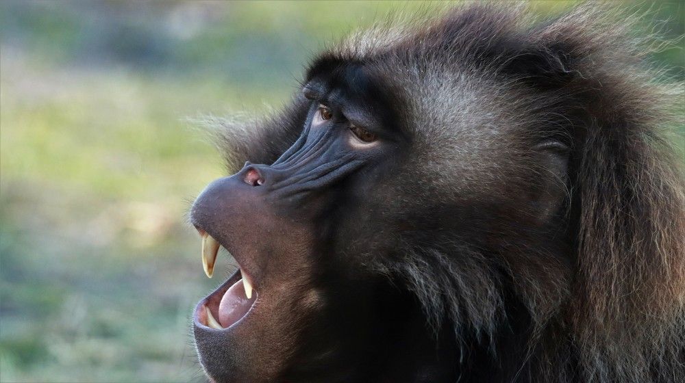 Photograph by Anja kroes