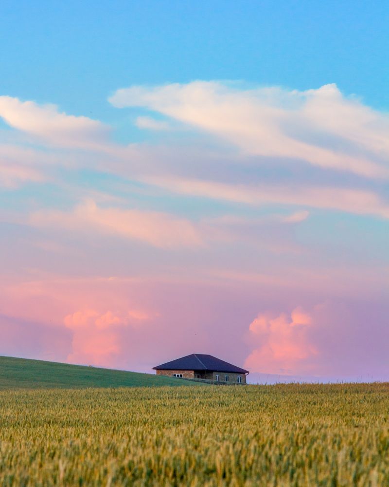 Photograph by Максим Поздеев