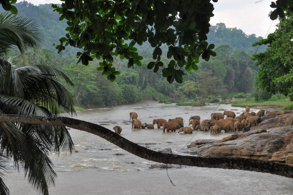 Photograph by Maria Teresa Teixeira de Sousa
