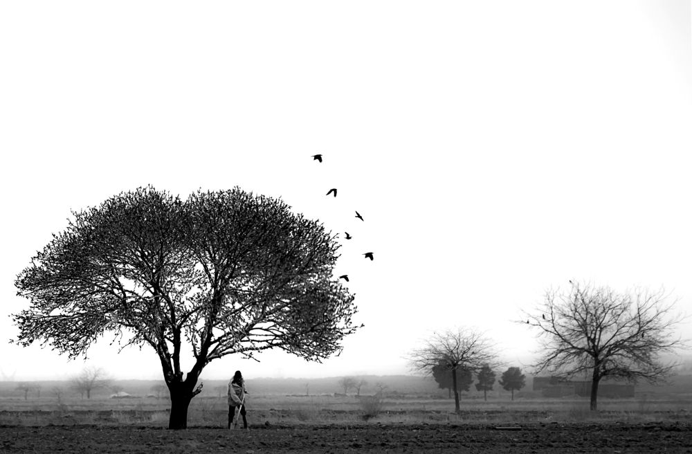 Photograph by Behzad Jourabchi Bokharaei