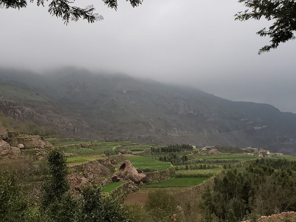 Photograph by نورا الغيثي