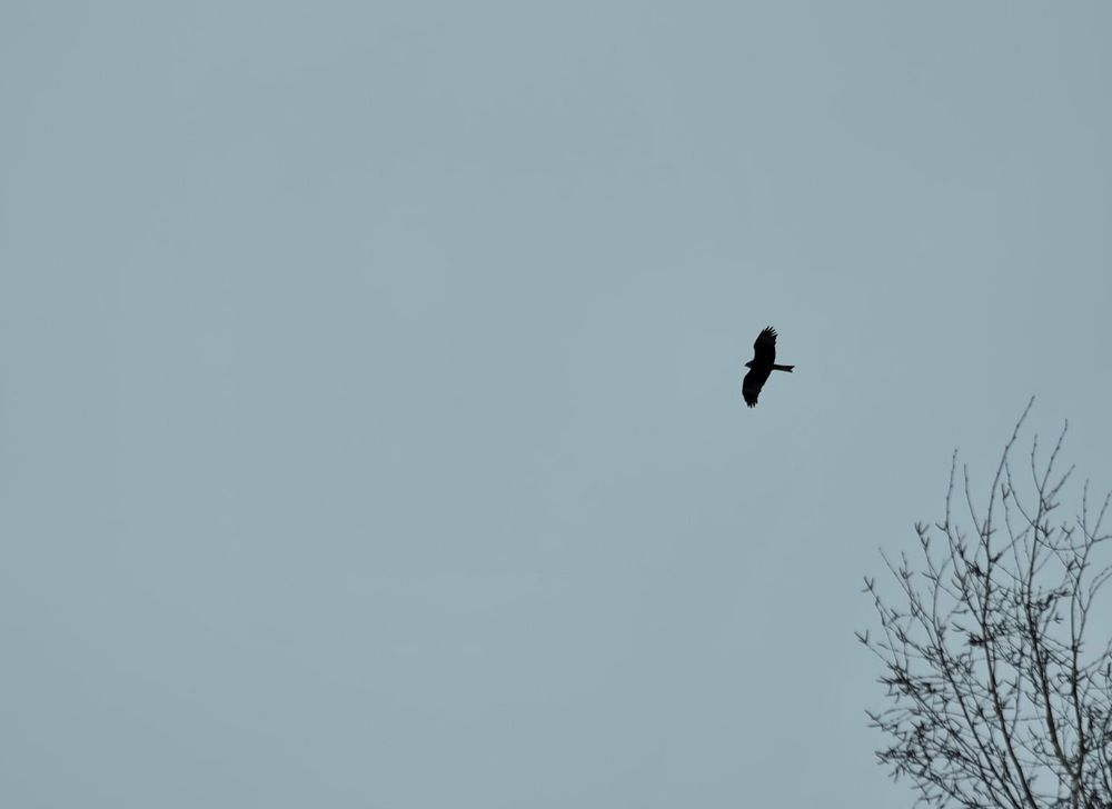 Photograph by НИНА АВЕРЬЯНОВА