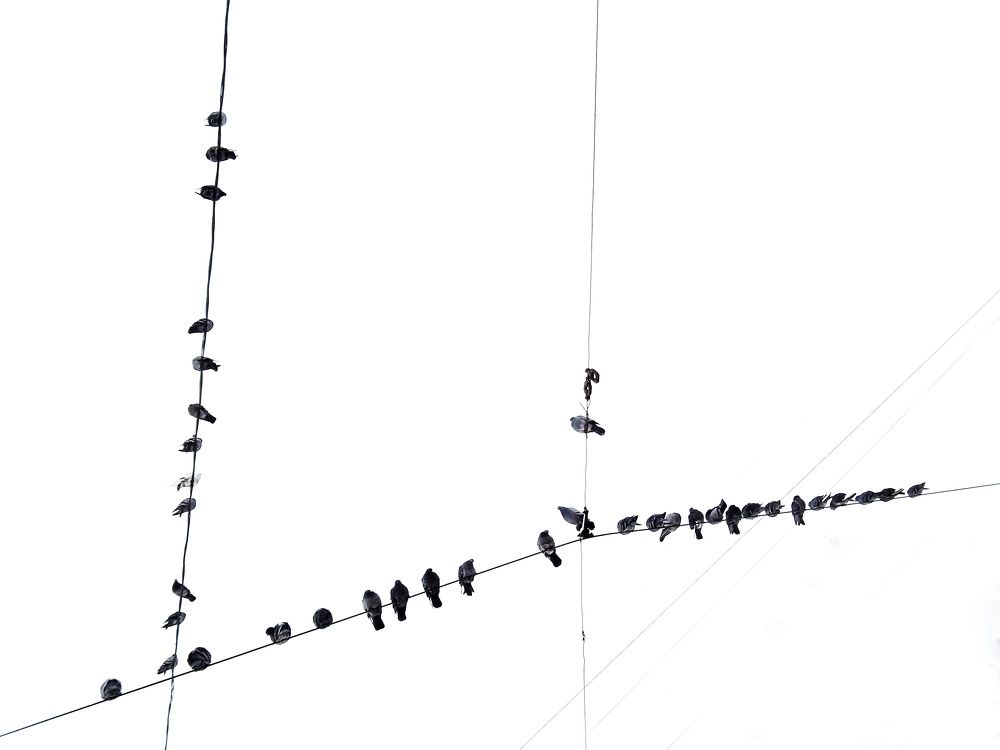 Photograph by Татьяна Юдина