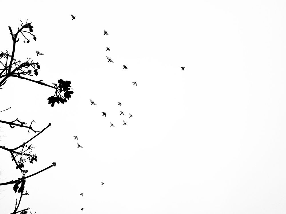 Photograph by Татьяна Юдина