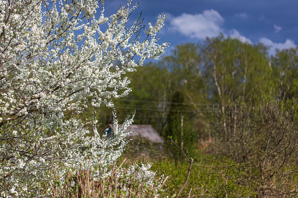 Photograph by Зеленько Дмитрий