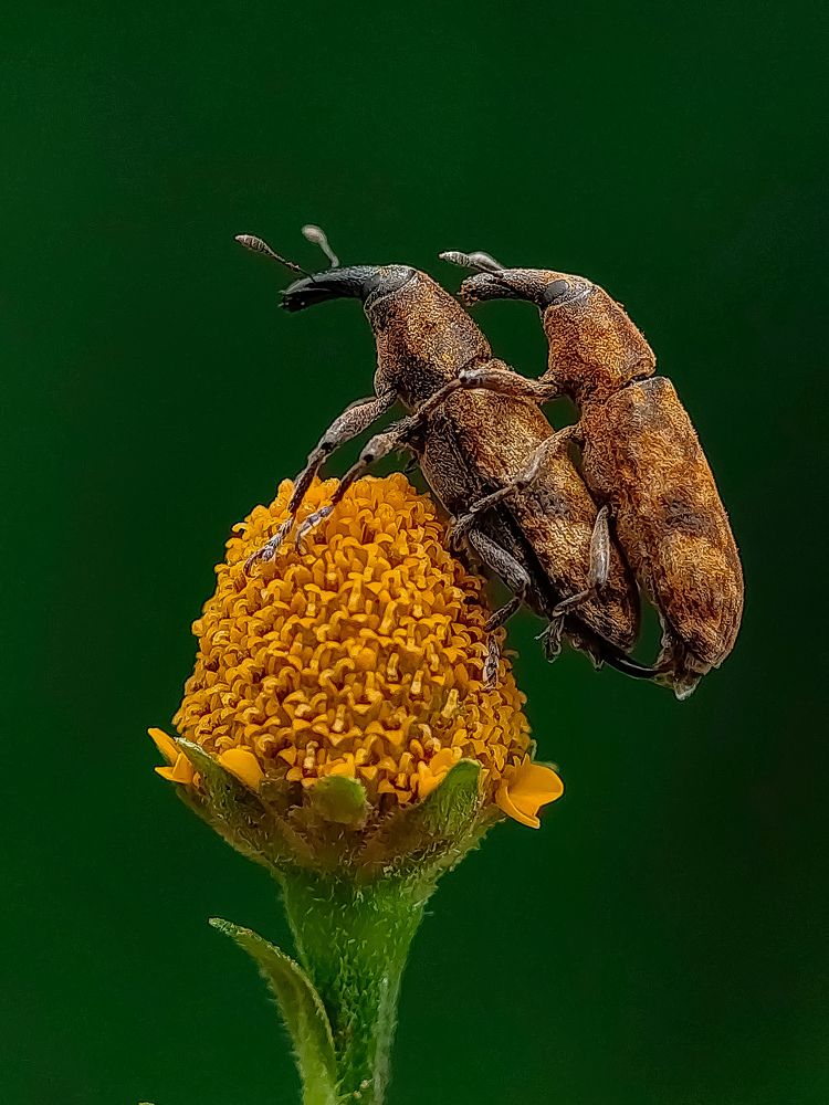 Photograph by Shankhadip Choudhury