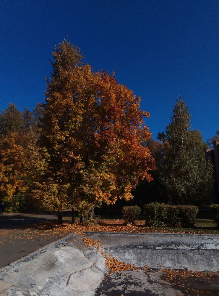 Photograph by Ксения