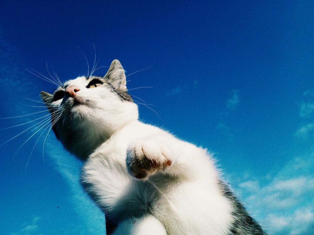 Photograph by Ксения